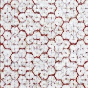 Red and White Honeycomb, 2007