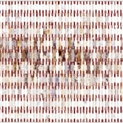 Quantum Marlboro, 2007